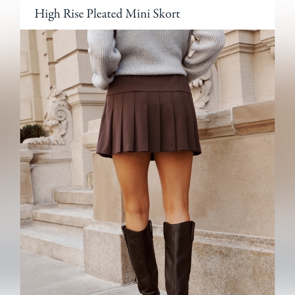 Abercrombie & Fitch Chocolate Brown Mini Skirt